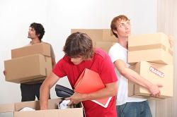 removals companies